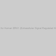 Image of CLIA kit for Human ERK1 (Extracellular Signal Regulated Kinase 1)